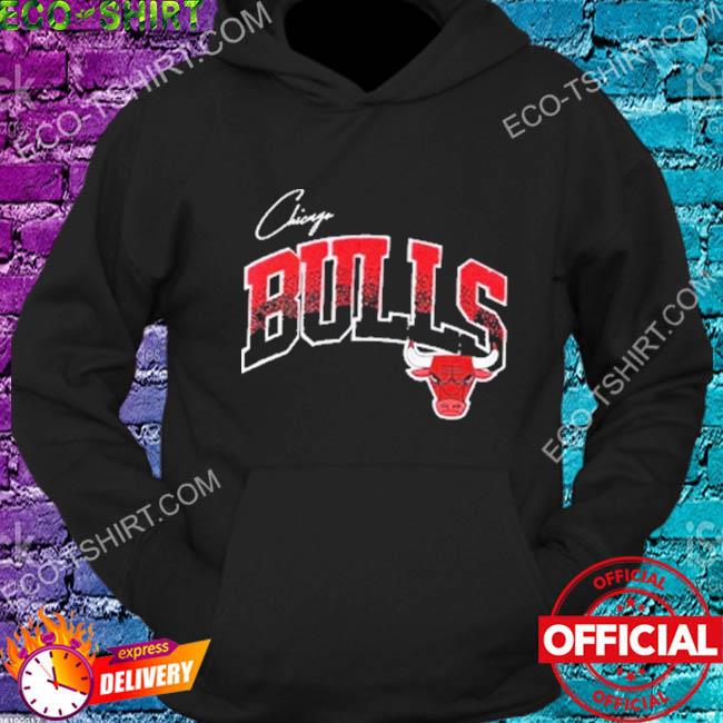Men's Chicago Bulls Pro Standard Black Hometown Chenille Style T