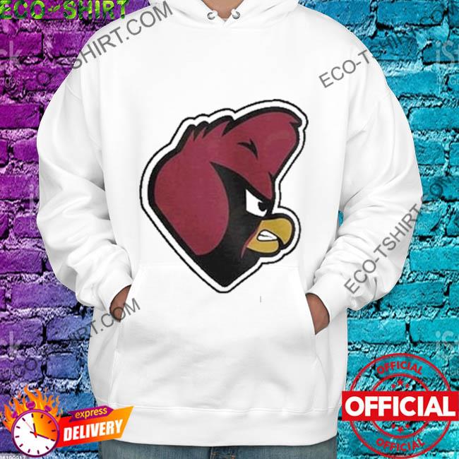 Arizona Cardinals NFL shirt, hoodie, sweater, long sleeve and tank top